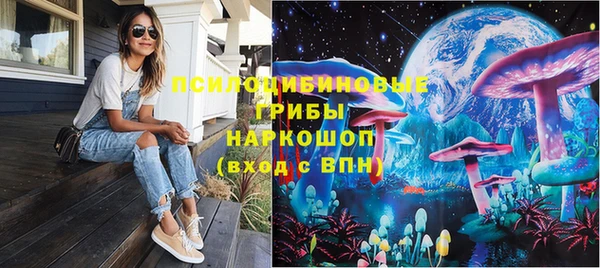 ГАЛЛЮЦИНОГЕННЫЕ ГРИБЫ Белокуриха
