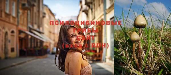 ГАЛЛЮЦИНОГЕННЫЕ ГРИБЫ Белокуриха