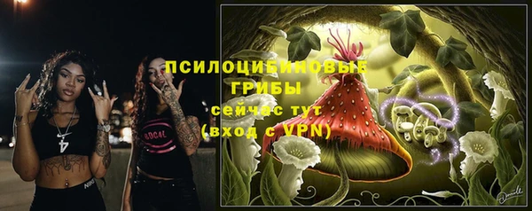 альфа пвп Богородицк