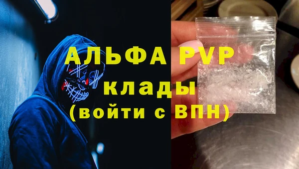ГАЛЛЮЦИНОГЕННЫЕ ГРИБЫ Белокуриха