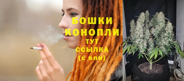 ГАЛЛЮЦИНОГЕННЫЕ ГРИБЫ Белокуриха