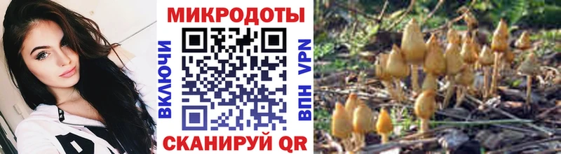 Псилоцибиновые грибы Magic Shrooms  Среднеуральск 